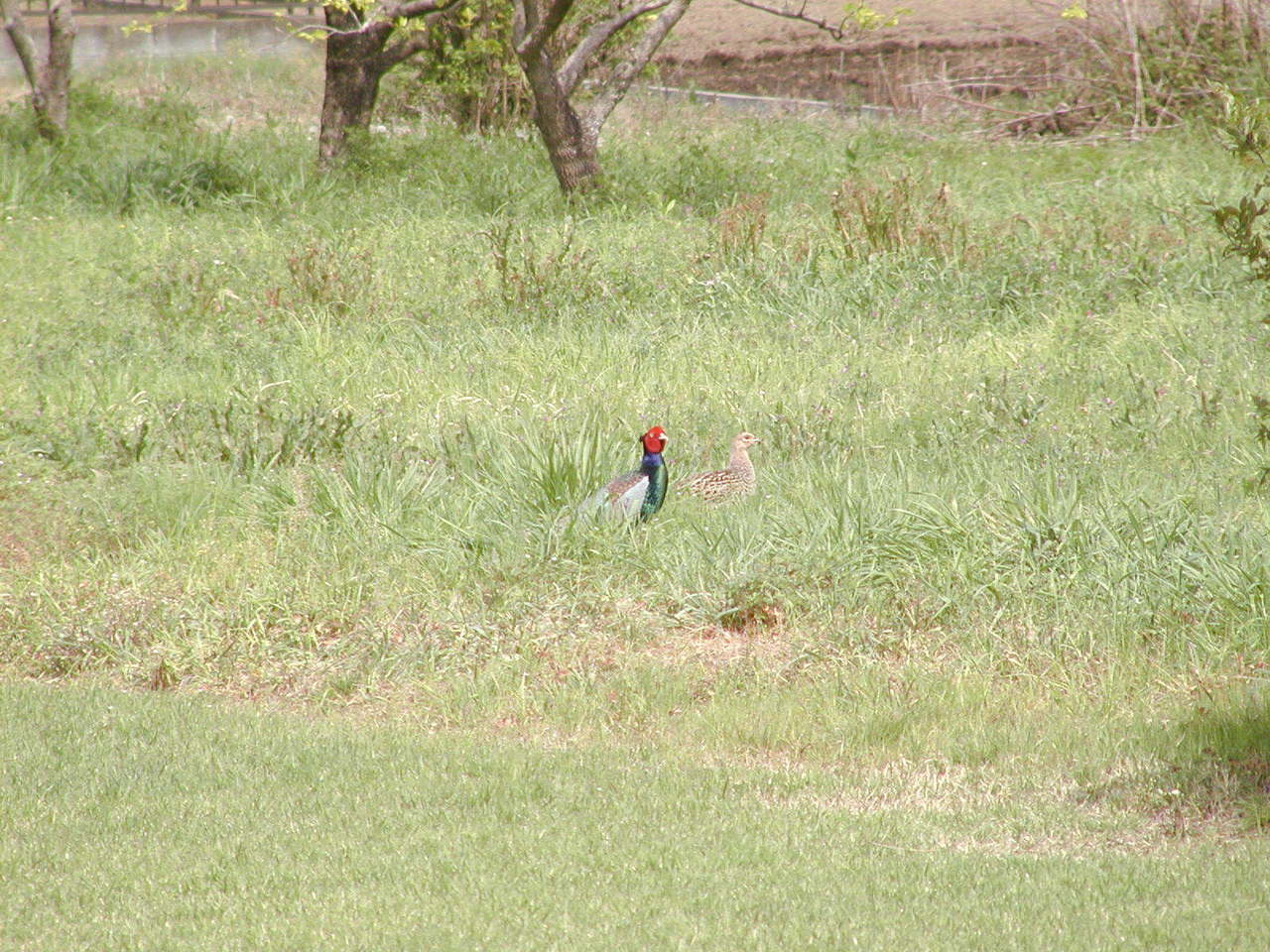 P1010008.JPG