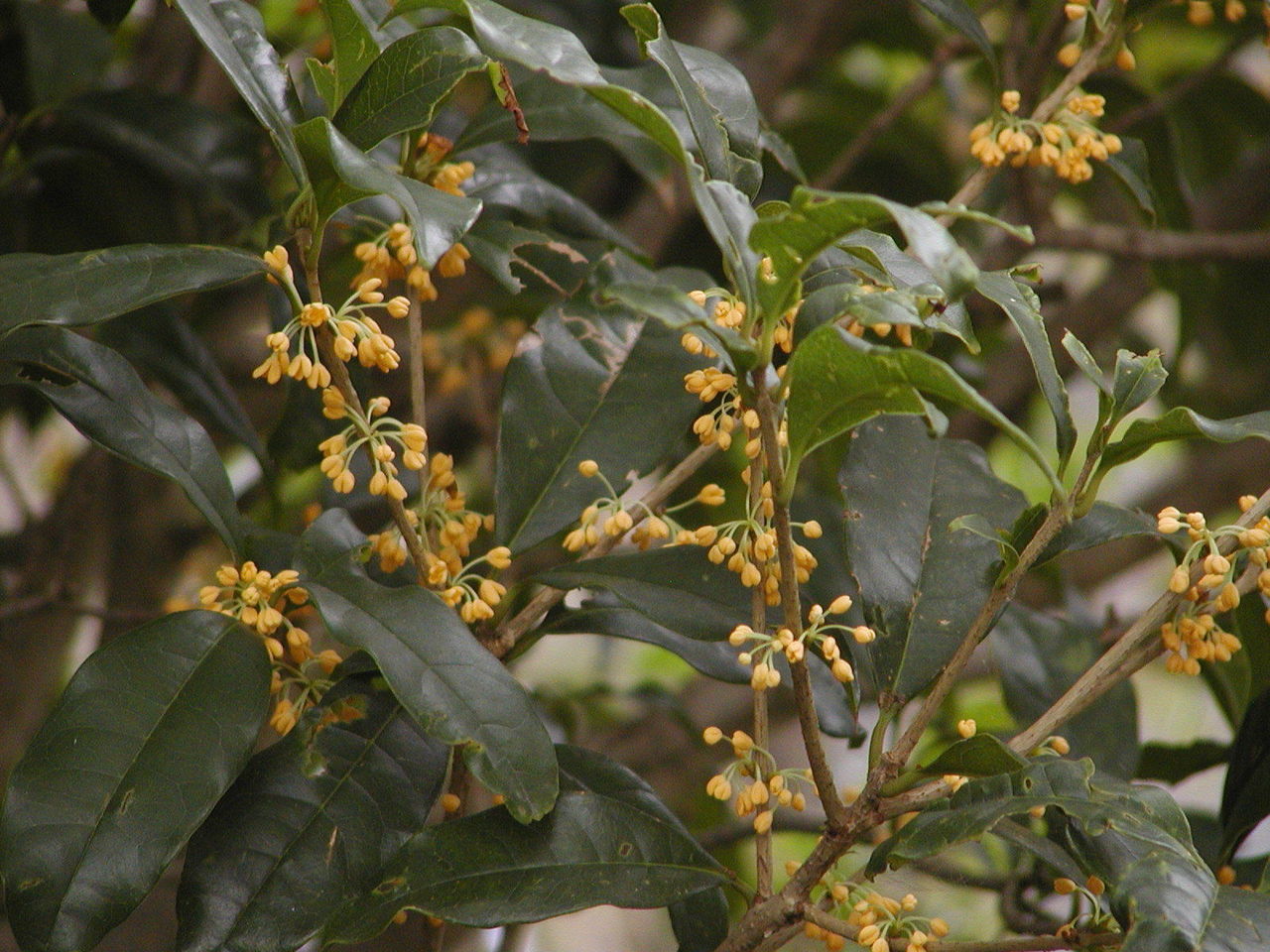 P1010028.JPG