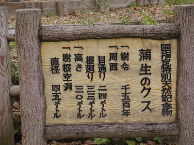 P2280038.jpg