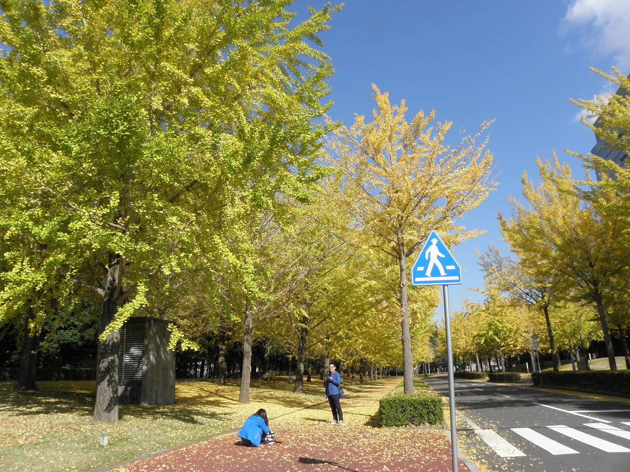 PB050084.jpg