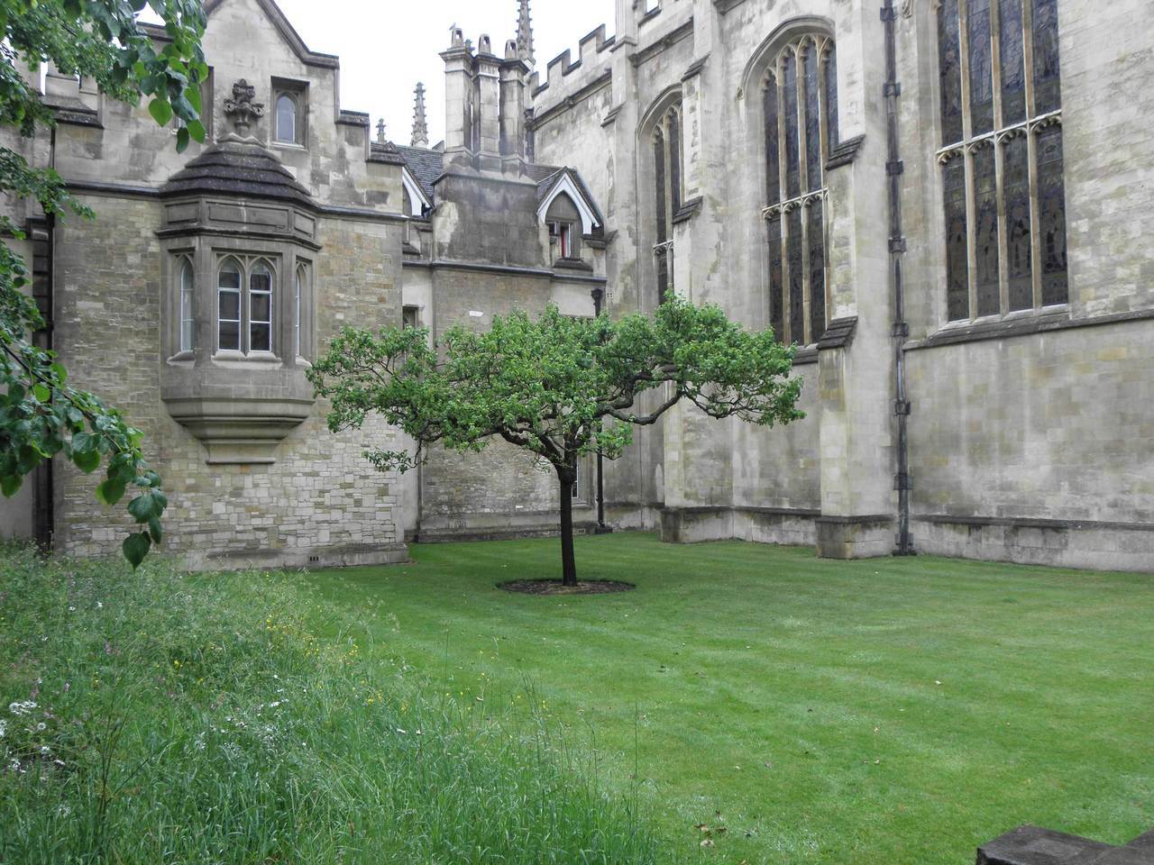 P5270342-1.jpg