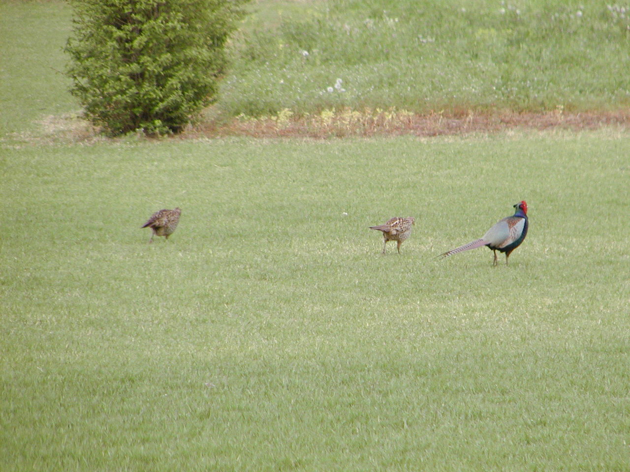 P1010001.JPG