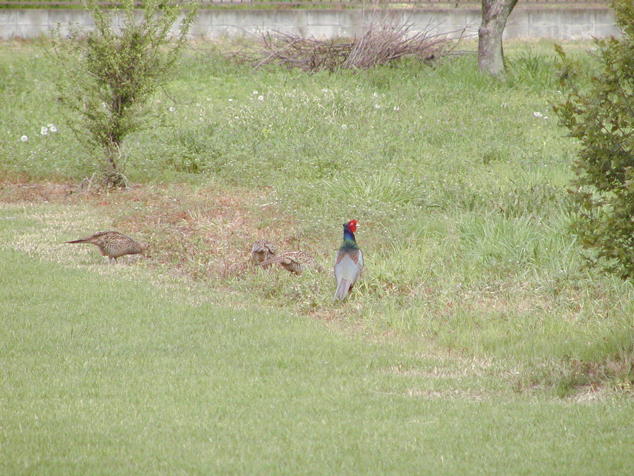 P1010005.JPG