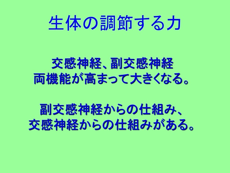 スライド19.JPG