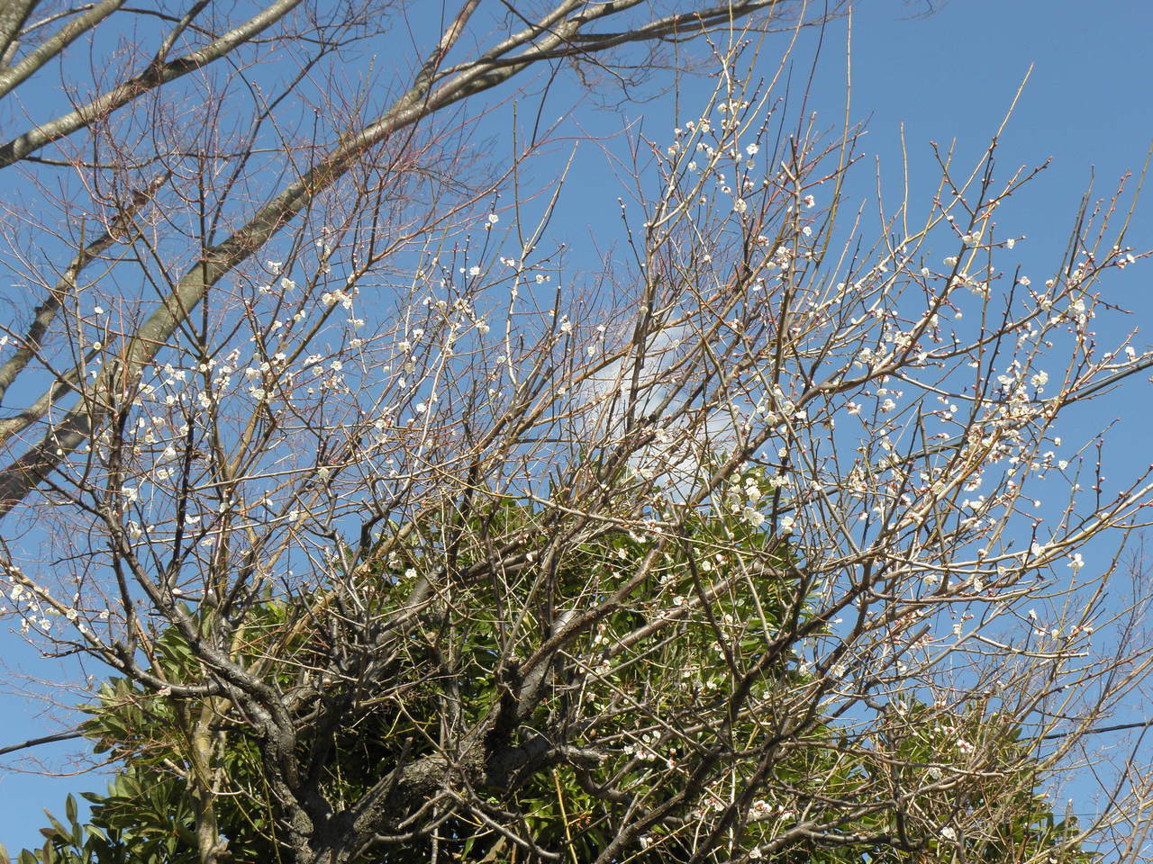 P3060002.JPG
