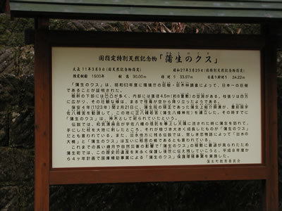 P2280039.jpg