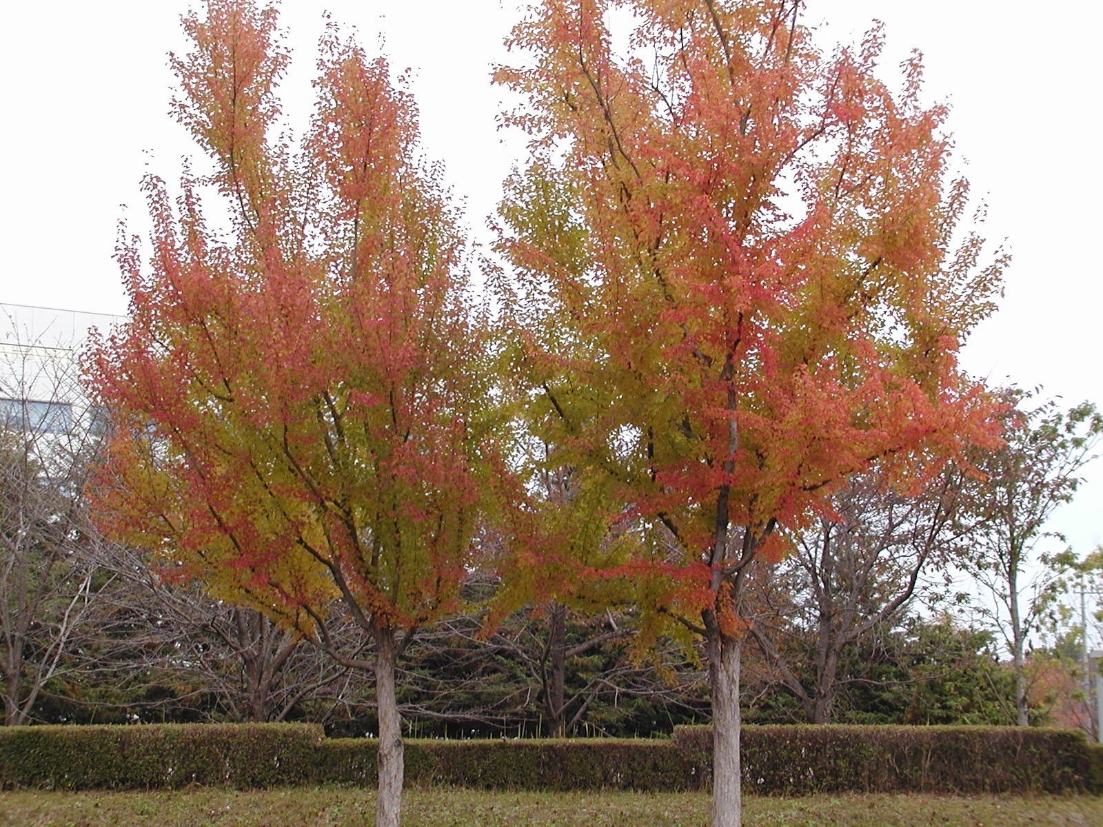 PB230131.jpg
