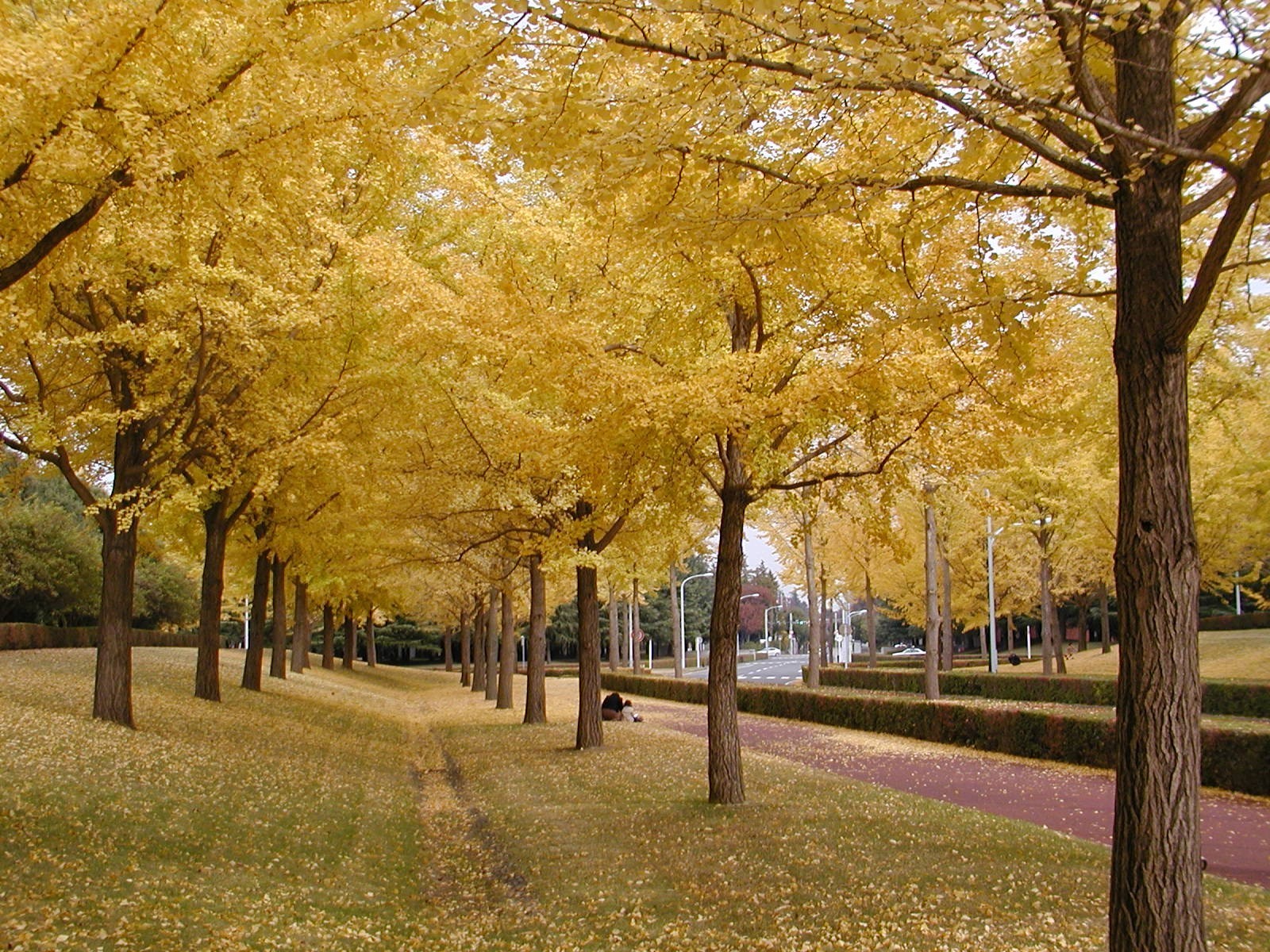PB230120.jpg