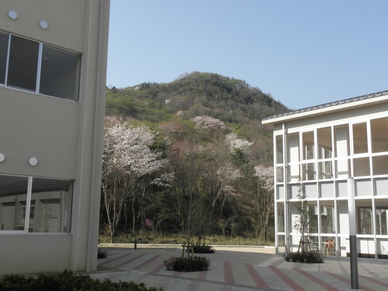 P4130015.JPG
