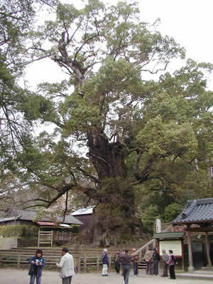P2280030.jpg